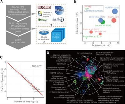 A network view of human immune system and virus-human interaction